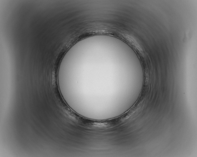 X0000110320457200905211209