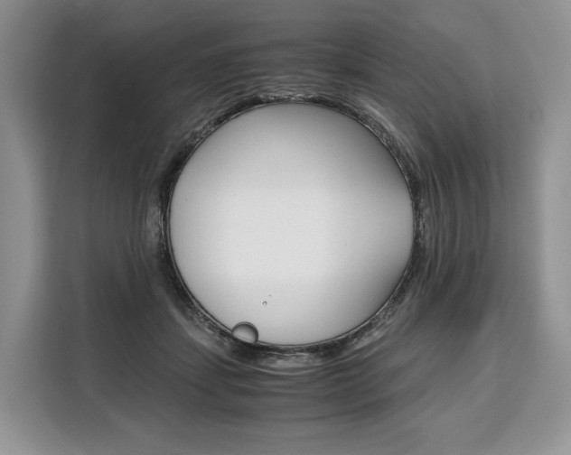 X0000110320459200905211209