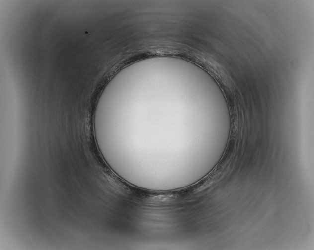 X0000110320461200905211209