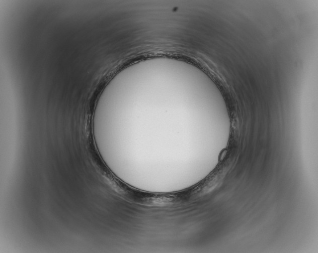 X0000110320462200905211209
