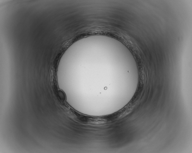 X0000110320463200905211209