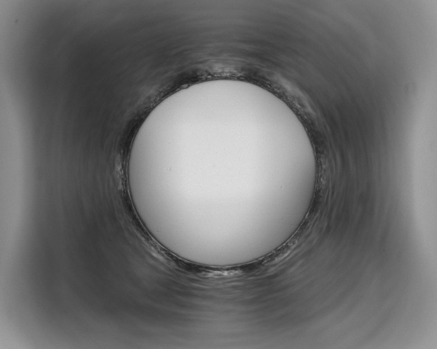 X0000110320465200905211209