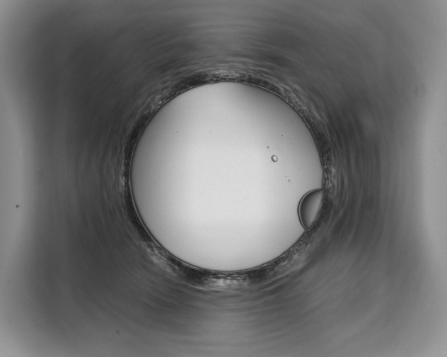 X0000110320466200905211209