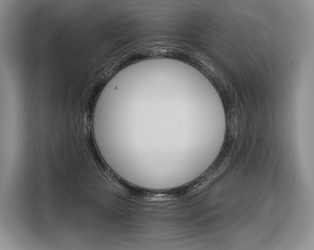 X0000110320467200905211209