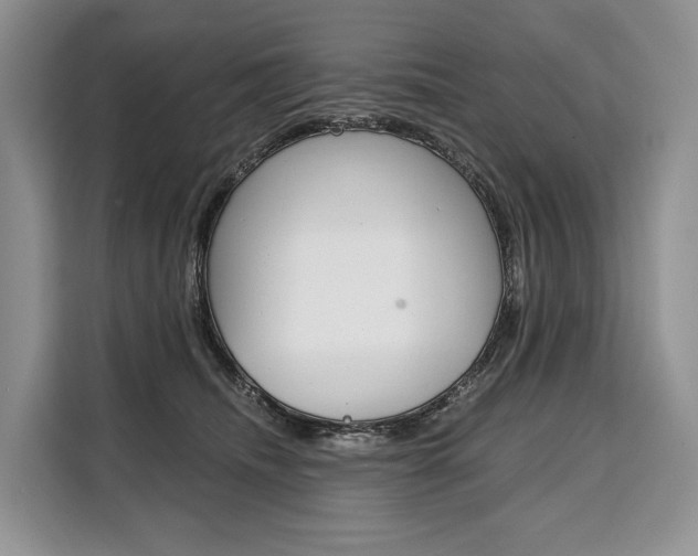 X0000110320468200905211209