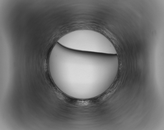 X0000110320469200905211209