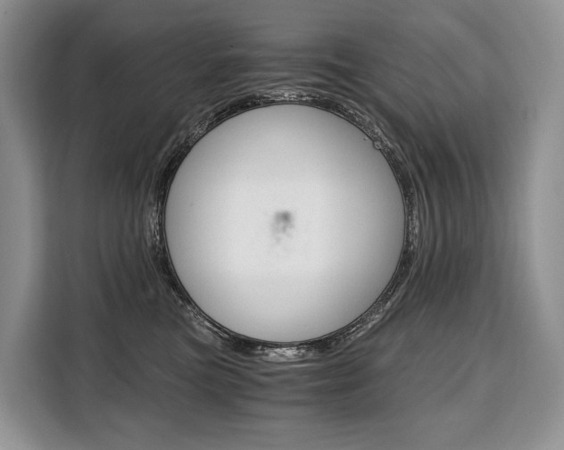 X0000110320473200905211209