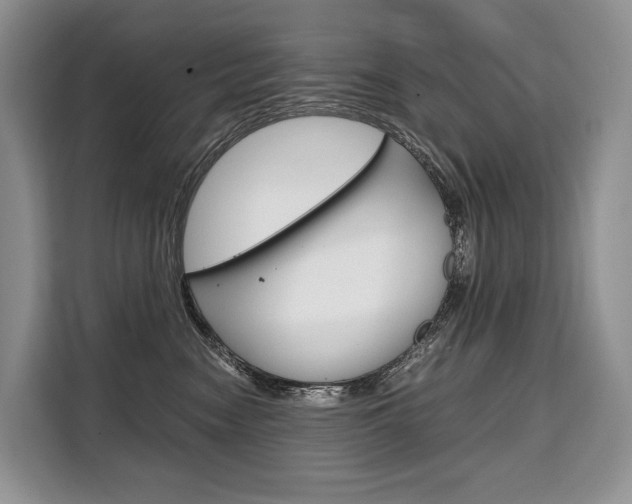 X0000110320474200905211209