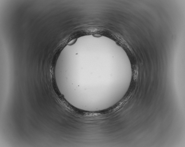 X0000110320476200905211209