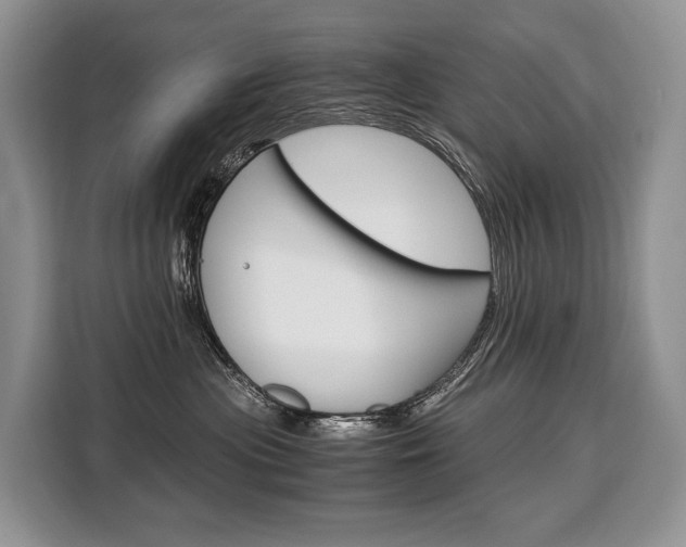 X0000110320477200905211209