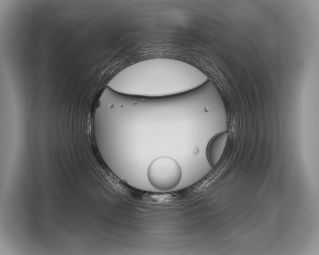 X0000110320478200905211209