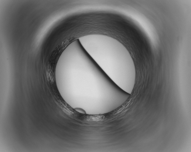 X0000110320479200905211209