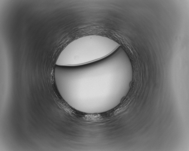 X0000110320480200905211209