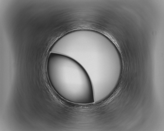 X0000110320481200905211209