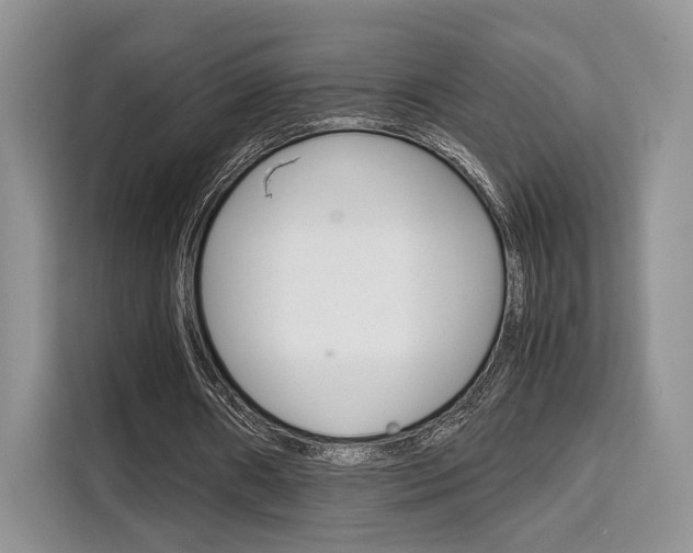 X0000110320482200905211209
