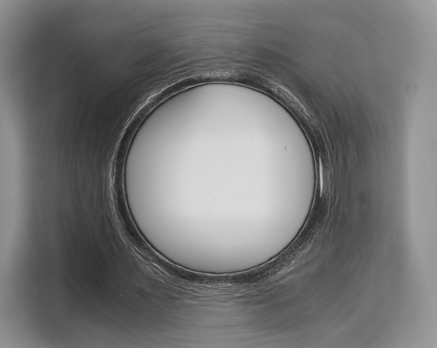 X0000110320483200905211209