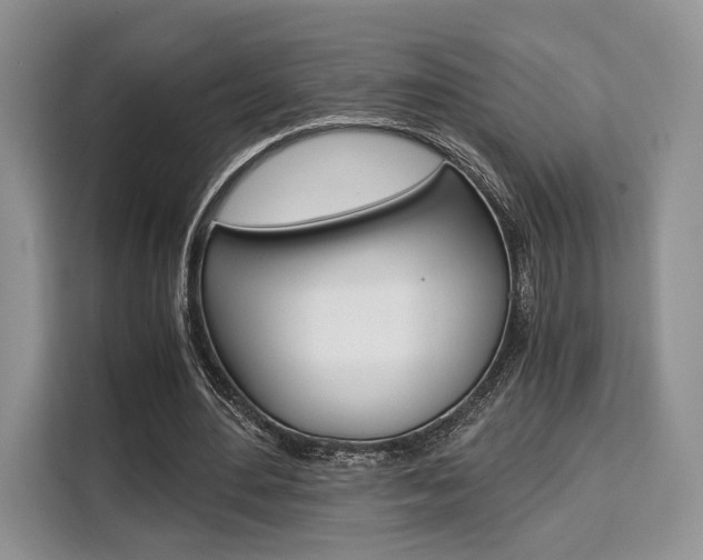 X0000110320484200905211209