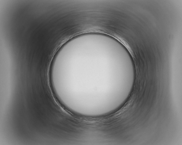 X0000110320485200905211209