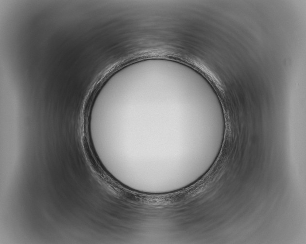 X0000110320486200905211209