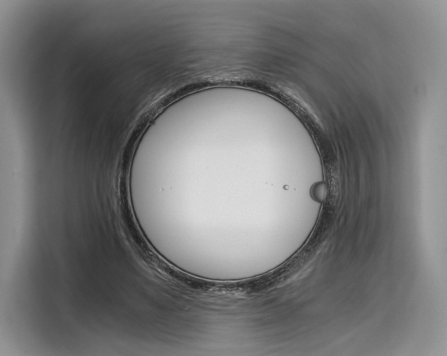 X0000110320491200905211209