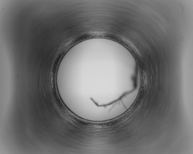 X0000110320494200905211208