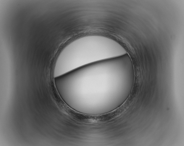 X0000110320496200905211208