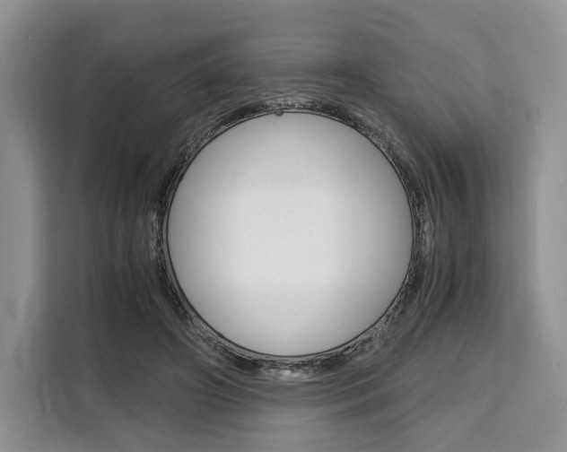 X0000110320498200905211208