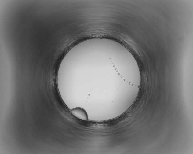 X0000110320499200905211208