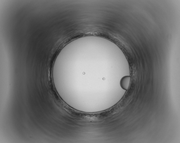 X0000110320502200905211208