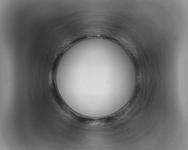 X0000110320504200905211208
