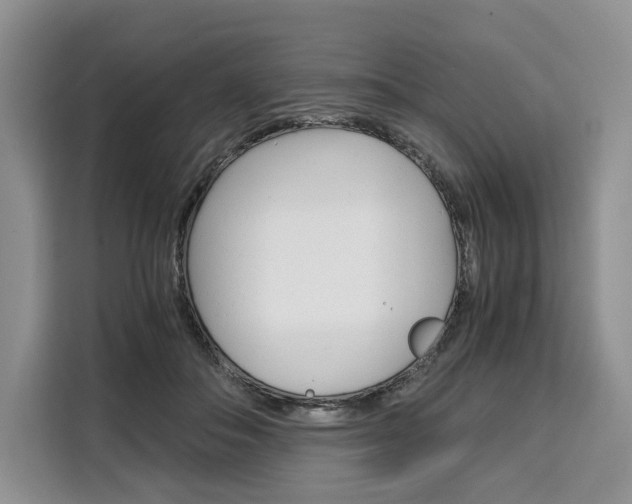 X0000110320506200905211208