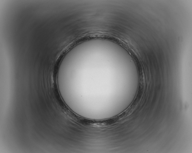 X0000110320508200905211208