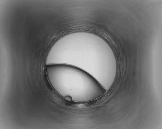 X0000110320509200905211208
