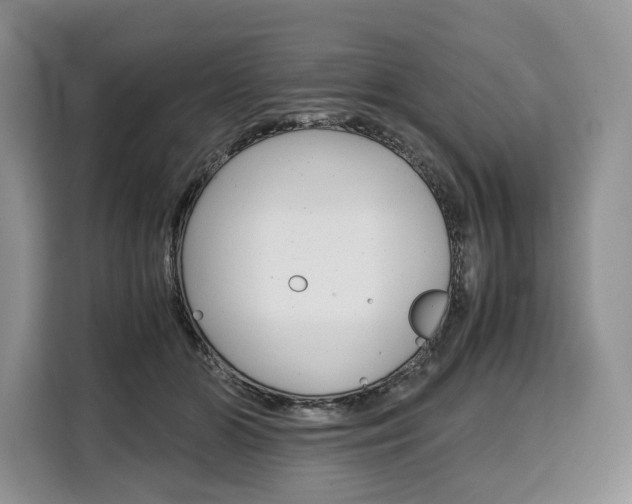 X0000110320510200905211208