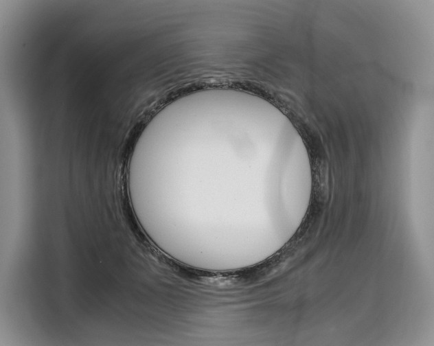 X0000110320511200905211208