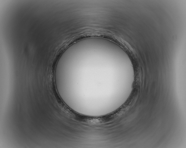 X0000110320513200905211208