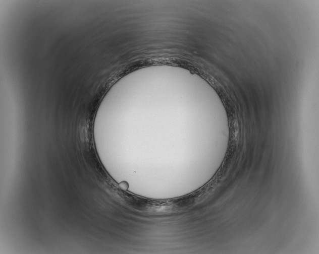 X0000110320514200905211208
