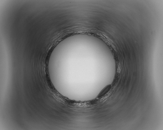 X0000110320524200905211208