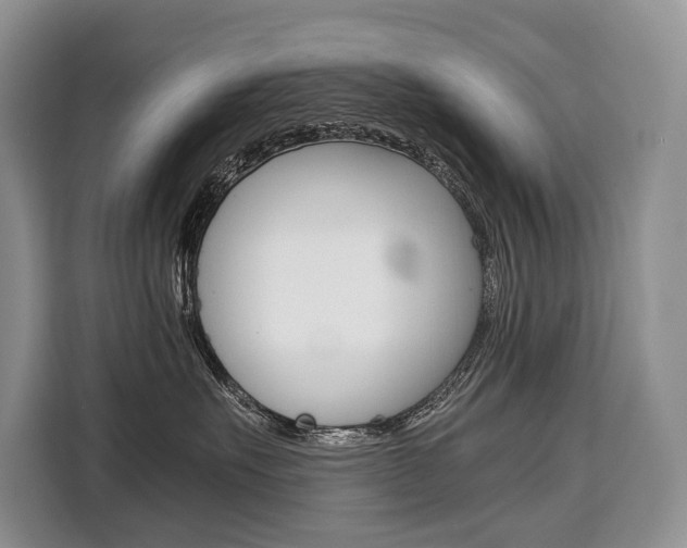 X0000110320527200905211208