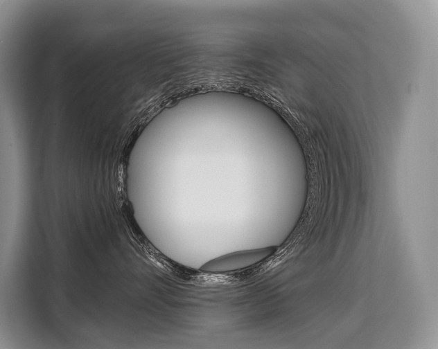 X0000110320528200905211208