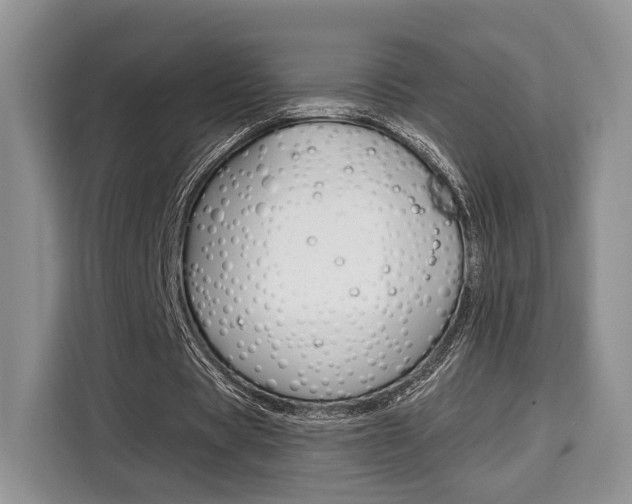 X0000110320529200905211207