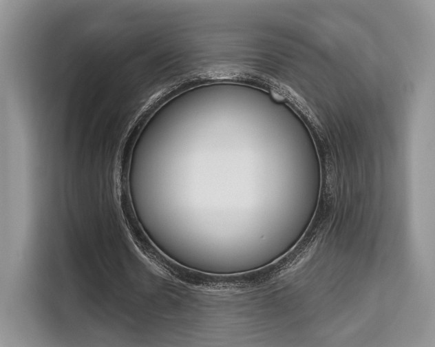 X0000110320530200905211207