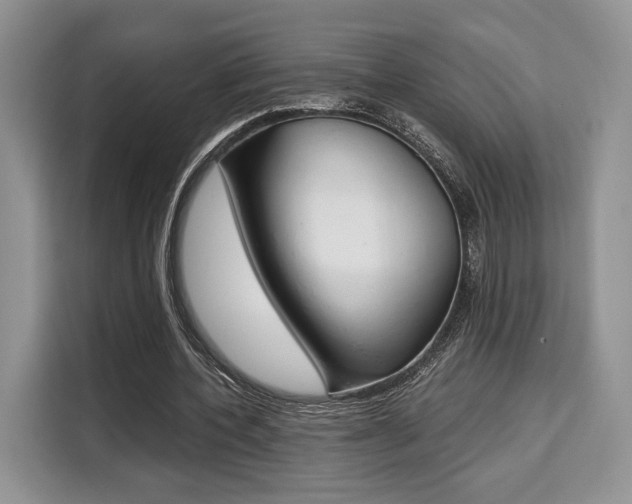 X0000110320532200905211207