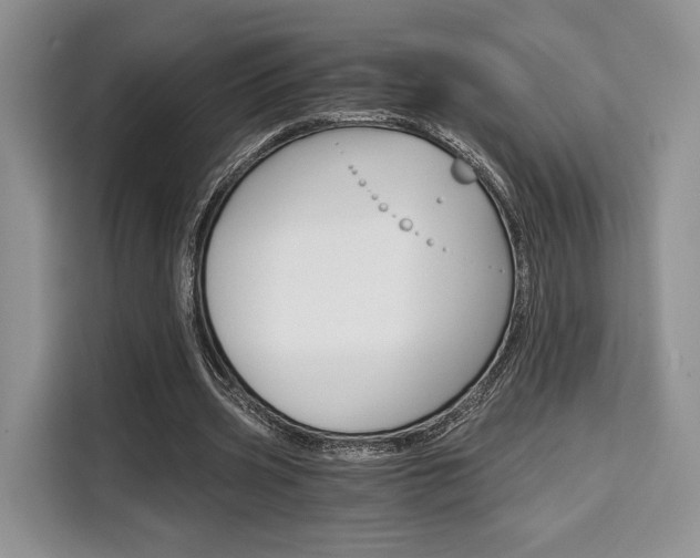 X0000110320533200905211207