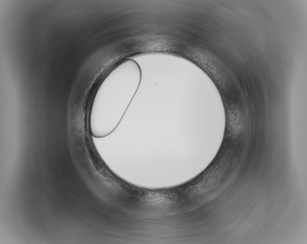 X0000110320534200905211207