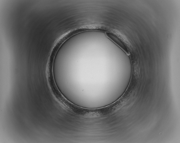 X0000110320536200905211207
