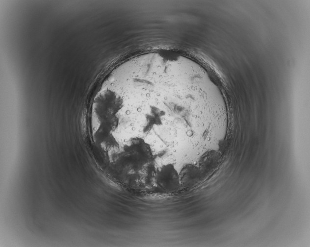 X0000110320537200905211207