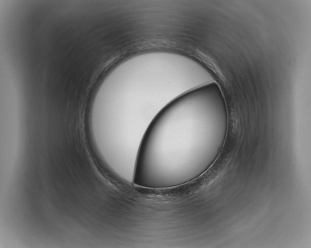 X0000110320538200905211208