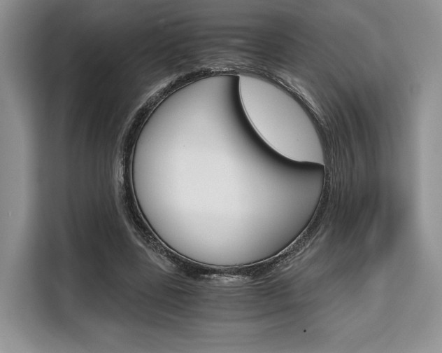 X0000110320539200905211208