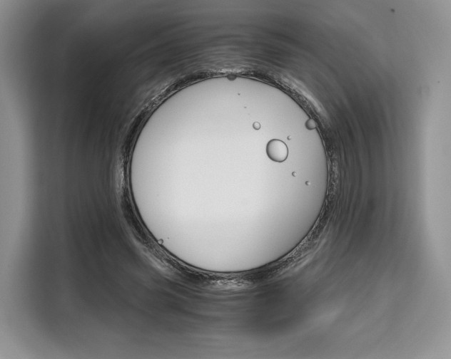 X0000110320541200905211208